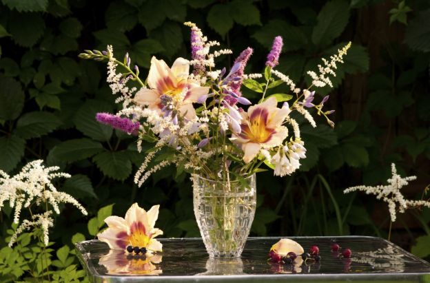 Keep cut flowers for longer