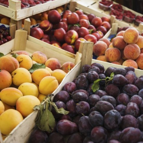 Fall fruit bounty