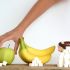 What else can you do to avoid sugar?
