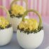 Boiled egg baskets