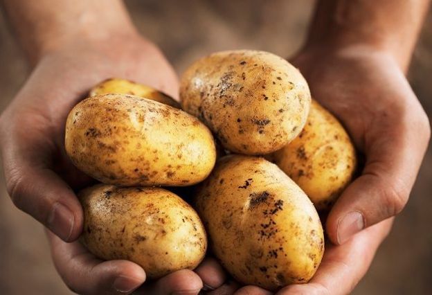Identifying Good Potatoes