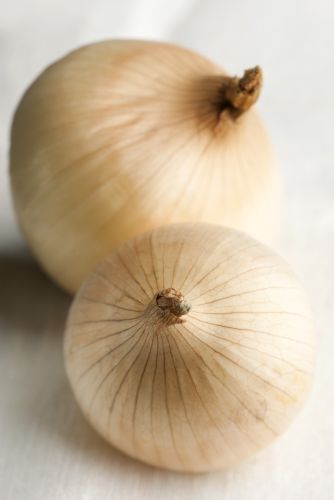 ESSENTIAL ONION TRICKS