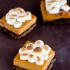 Pumpkin s'mores bars