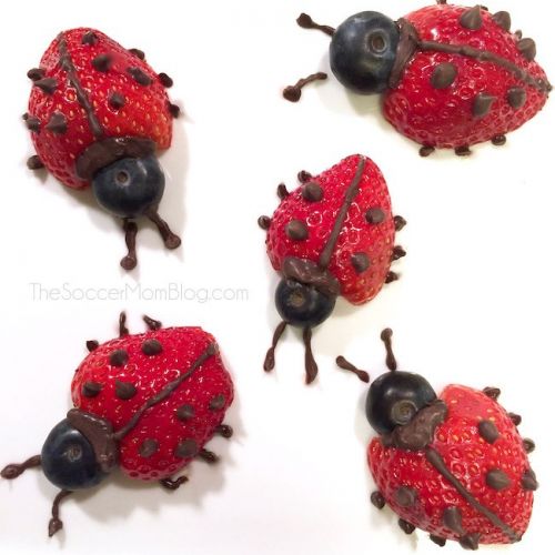 Fruit ladybugs