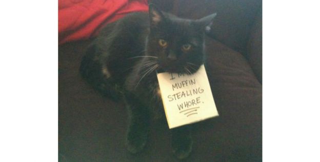 Hey, you snooze you lose.