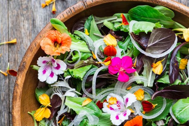 Spring Salad with Edible Flowers