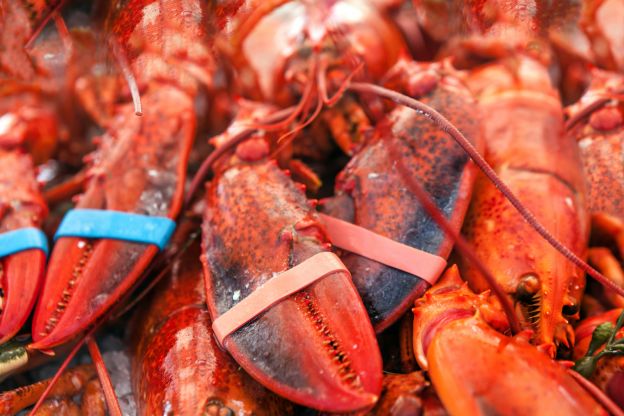 Buying the Biggest Lobsters