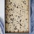 Cookie Brittle