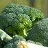 Fresh Vegetables