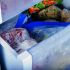 Some Final Freezer Tips
