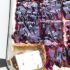 Easy Blueberry Cheesecake Dessert