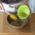 Add the honey-oil mixture and mix well