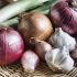 Eggs and alliums (garlic, onions, shallots and leeks)
