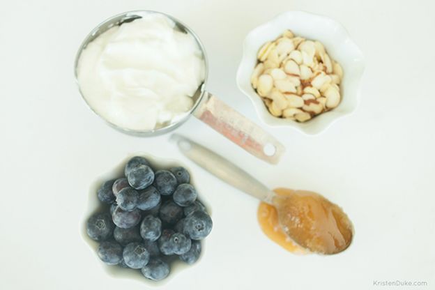 Blueberry yogurt protein bites