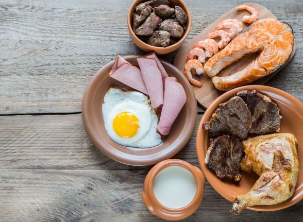 28) Eating Too Much Protein Is BAd For Health