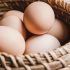 Eggs Are Full of Nutrients