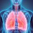 4. CLEAR UP YOUR RESPIRATORY SYSTEM