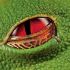 The eye of a frog, Costa Rica