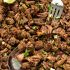 Slow cooker Barbacoa beef