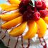 Peach Melba Pavlova
