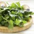 Cilantro