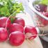 Radishes