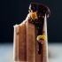 Almond Butter Popsicles