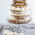 Gingerbread Cake With Cinnamon Cream Cheese Frosting