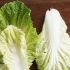 Lettuce