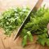 Harness the power of herbs