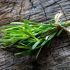 Stewing the herbs