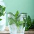 Mint pick-me-up