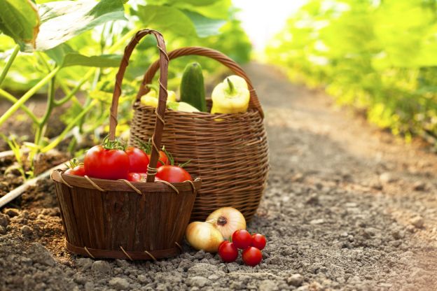 Vegetables and legumes