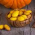 Pumpkin madeleines