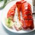 Why do we boil lobsters alive, and are they actually screaming?