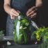 HOW TO PICKLE