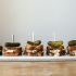 Grilled Blue Cheese with Honey Walnut Pesto