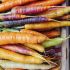 Carrots