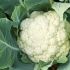 Cauliflower