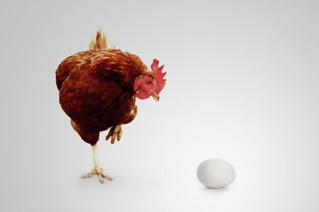 Why Don't We Eat Other Types of Bird Eggs Besides Chicken?