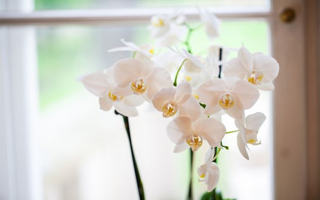 Now keep a close eye out... 