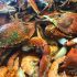 Crab Shack Seafood Market/Restaurant - Brigantine, New Jersey