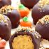 Pumpkin pie truffles