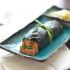 Nori Wrapped Salmon