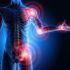 It's Anti-Inflammatory