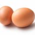 Chicken eggs are economically beneficial