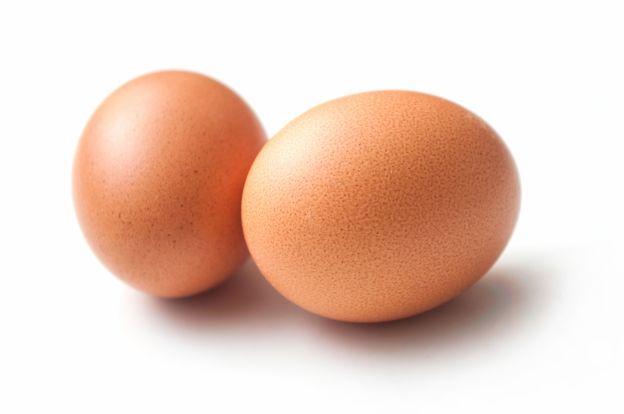 Chicken eggs are economically beneficial