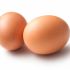 Chicken eggs are economically beneficial