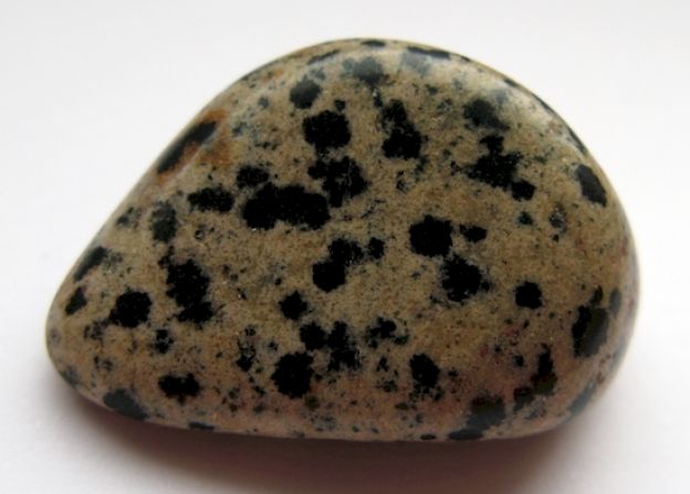 6- Dalmatian Jasper