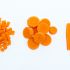 Carrots are vibrant and versatile